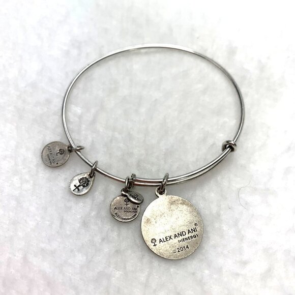 Alex and Ani Like A Daughter To Me Charm Bracelet - Expands 2"- 3.5" - Picture 2 of 2